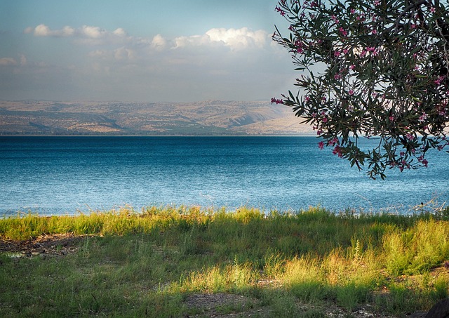 קידום אתרים בגליל העליון